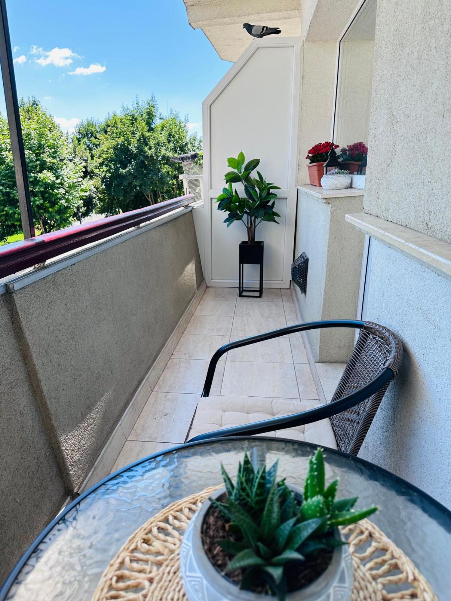 Studio Panoramic With Balcony And Parcul Unirii View Alba Iulia Exterior photo